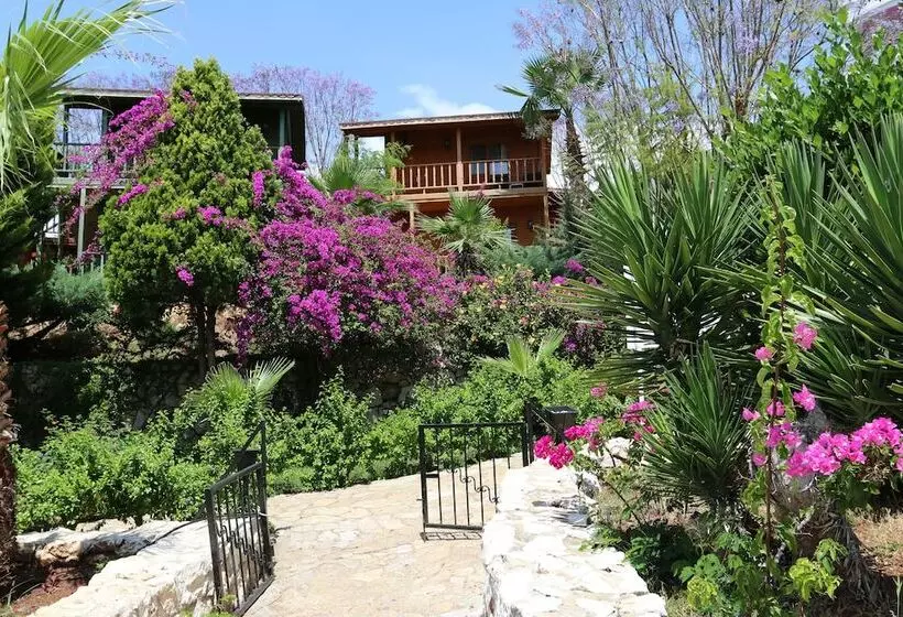 هتل Olbios Marina Resort