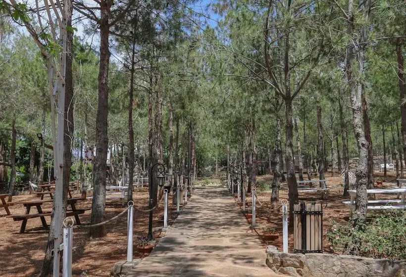 هتل Olbios Marina Resort