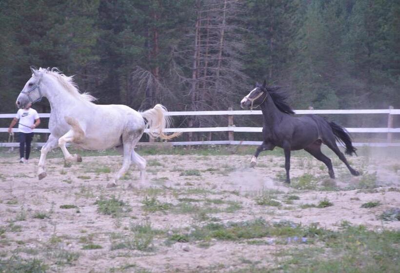 هتل Borovi Forest Resort & Spa