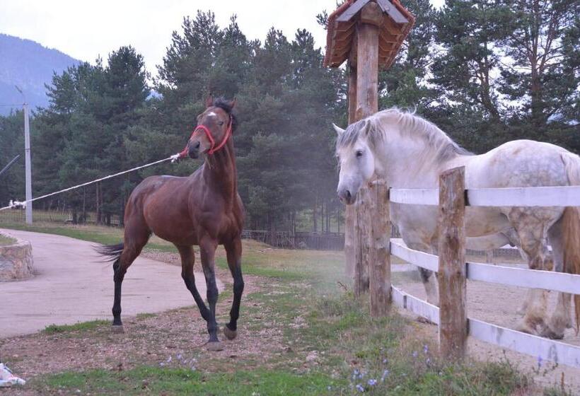 هتل Borovi Forest Resort & Spa