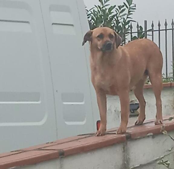 Bed and Breakfast Villa Rosanna