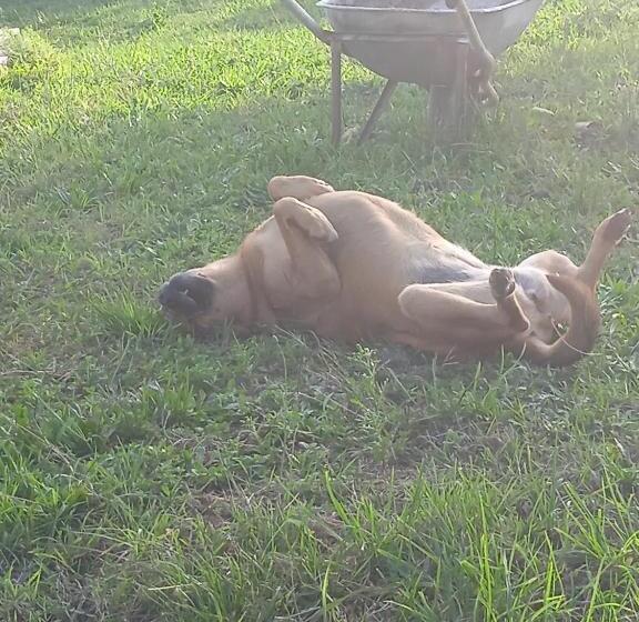 住宿加早餐  Villa Rosanna