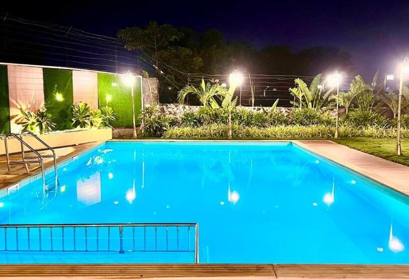 Bed and Breakfast The Arowana Divine