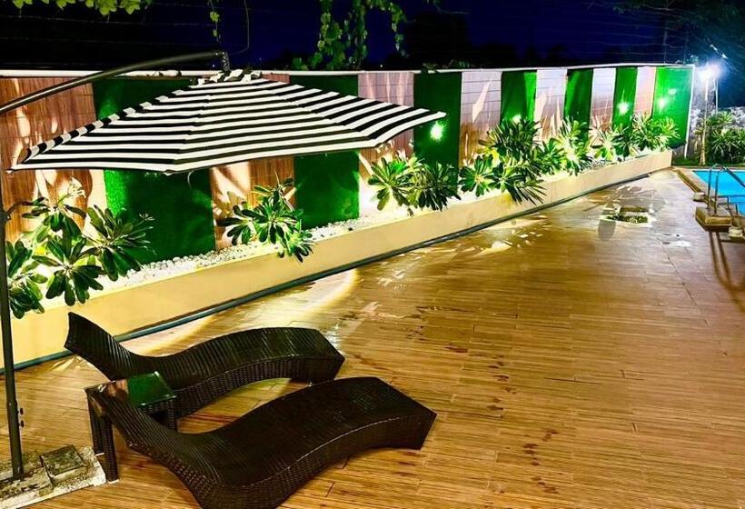 Bed and Breakfast The Arowana Divine