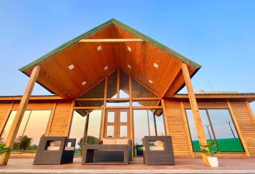 Bed and Breakfast The Arowana Divine