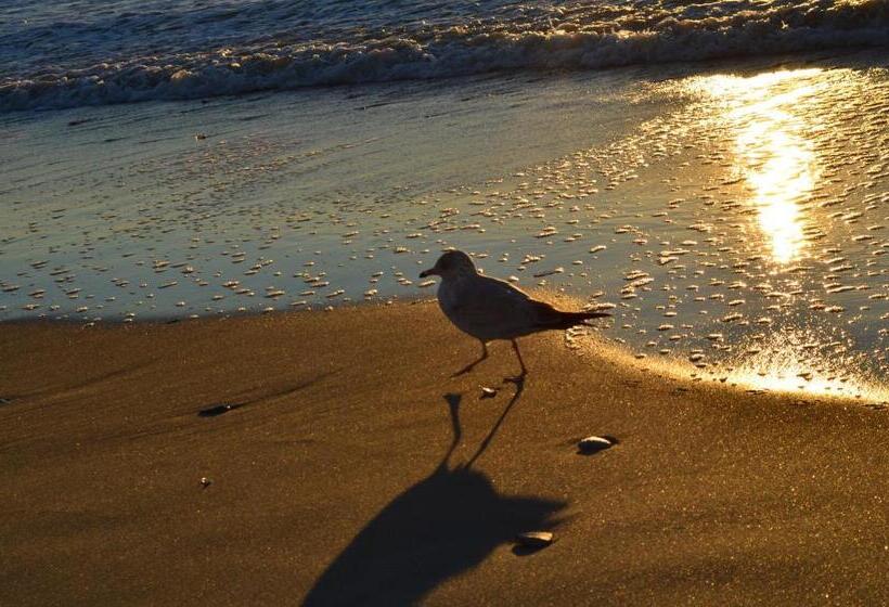 אתר נופש Stunning Ocean Front 2bedroom In Heart Of Myrtle Beach New 50 Smart Tv