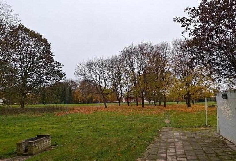 تختخواب و صبحانه Nest Hostel