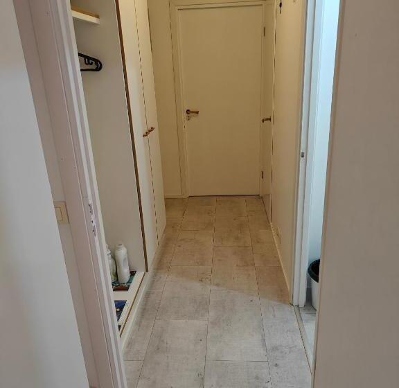 تختخواب و صبحانه Nest Hostel