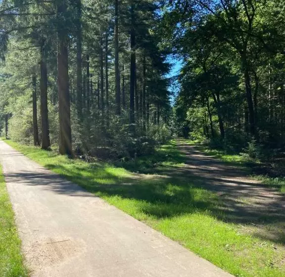 Bed & Breakfast Hoeve Happiness   Ontbijt Inbegrepen   Wellness Aanwezig