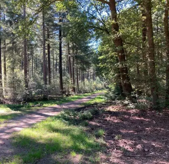 Bed & Breakfast Hoeve Happiness   Ontbijt Inbegrepen   Wellness Aanwezig