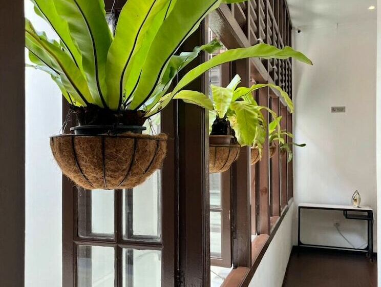 בית מלון כפרי The Magazine Boutique