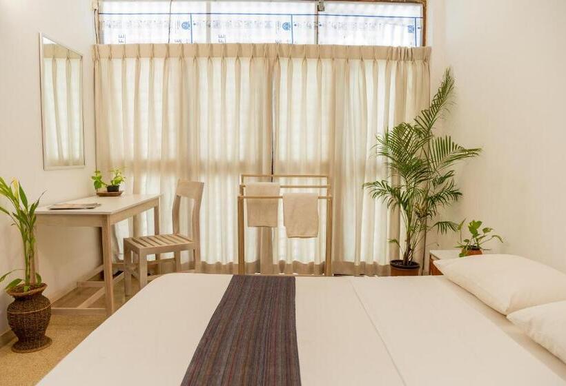 膳宿费 Greenscape Colombo