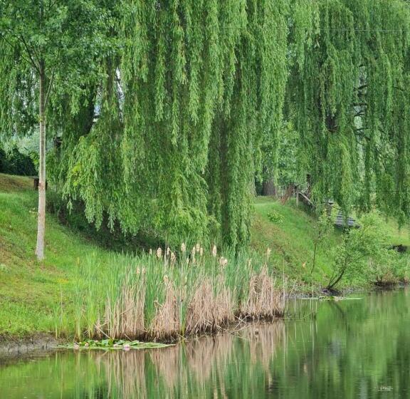 פנסיון La Balta Aiud