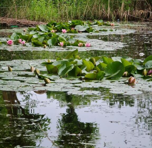 פנסיון La Balta Aiud