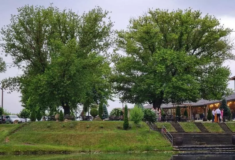 ペンション La Balta Aiud