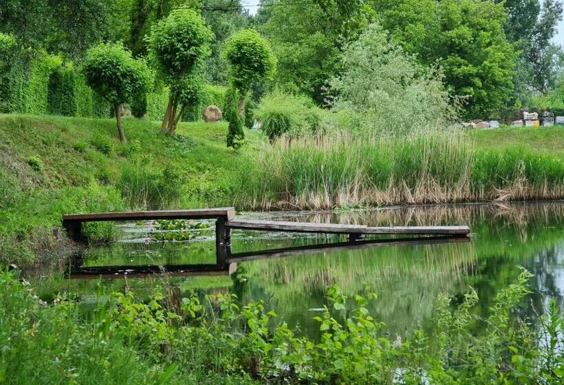 פנסיון La Balta Aiud