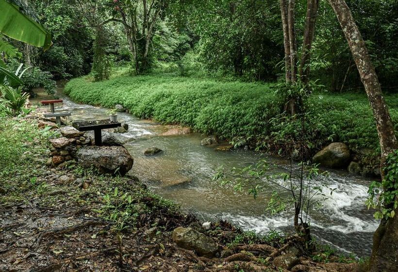 Отель Cascade Tara