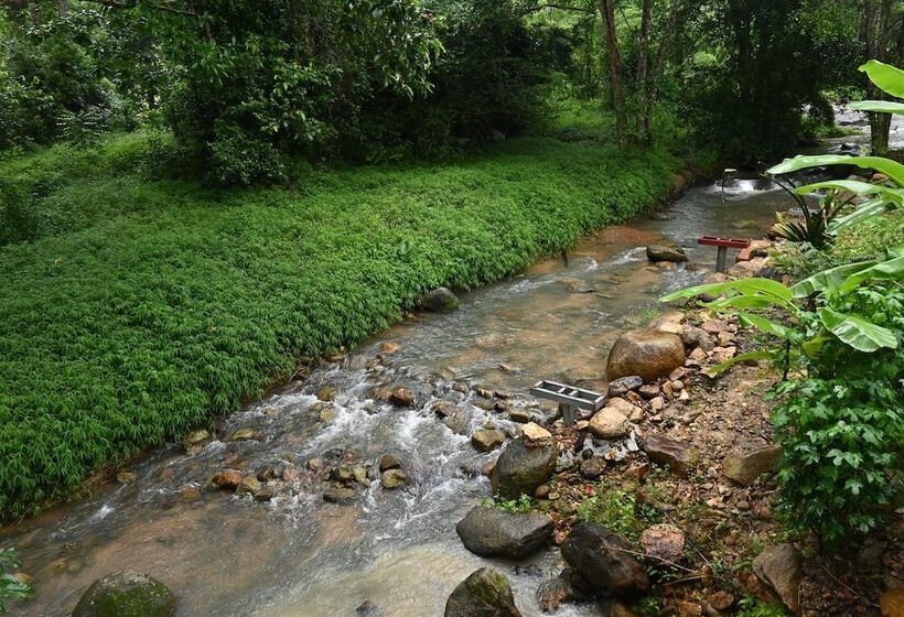 Отель Cascade Tara