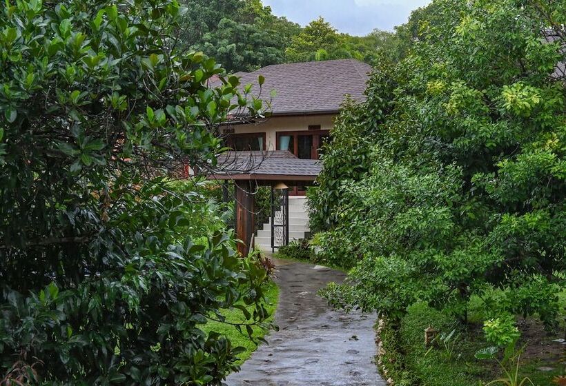 Отель Cascade Tara