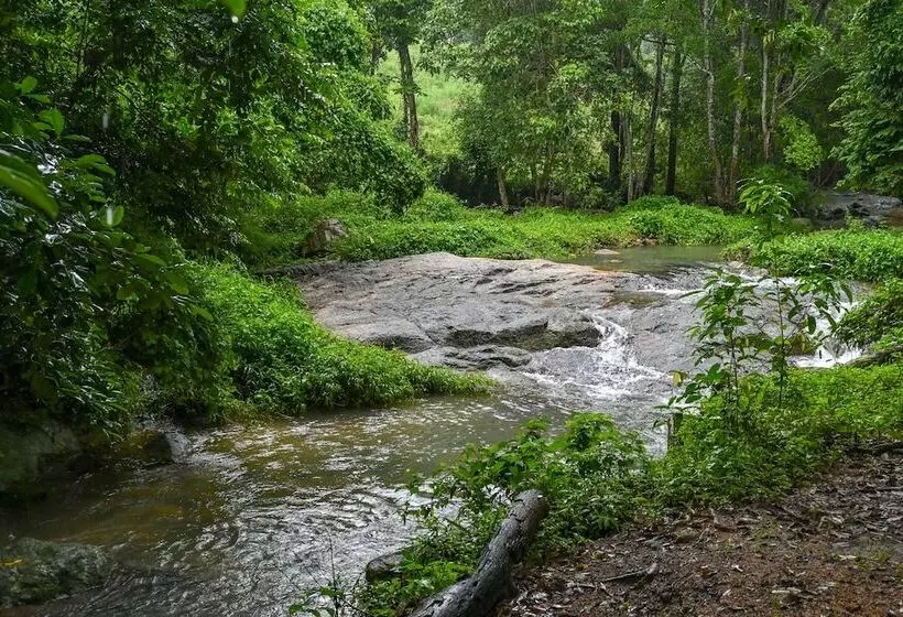 Hotelli Cascade Tara