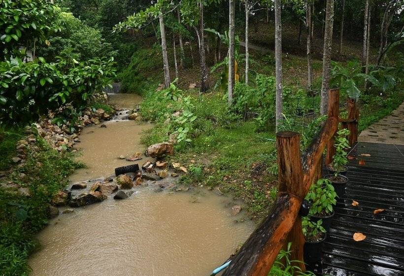 Отель Cascade Tara