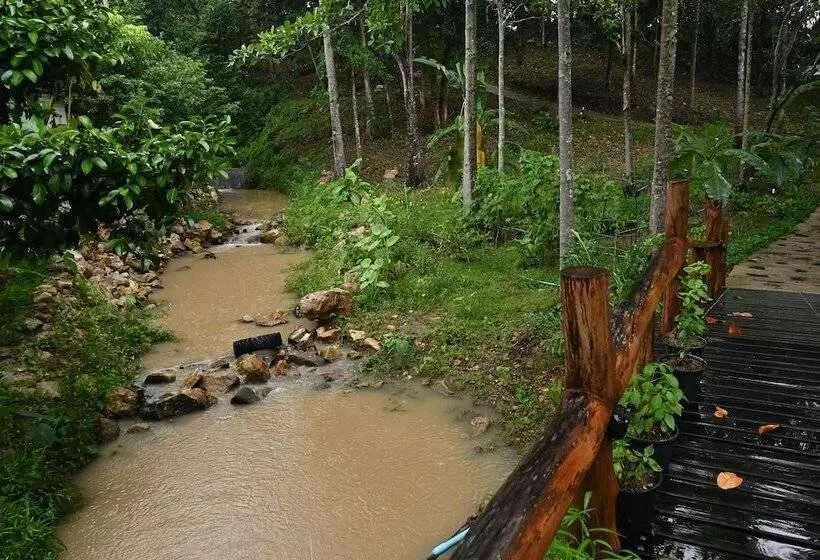 Hotelli Cascade Tara