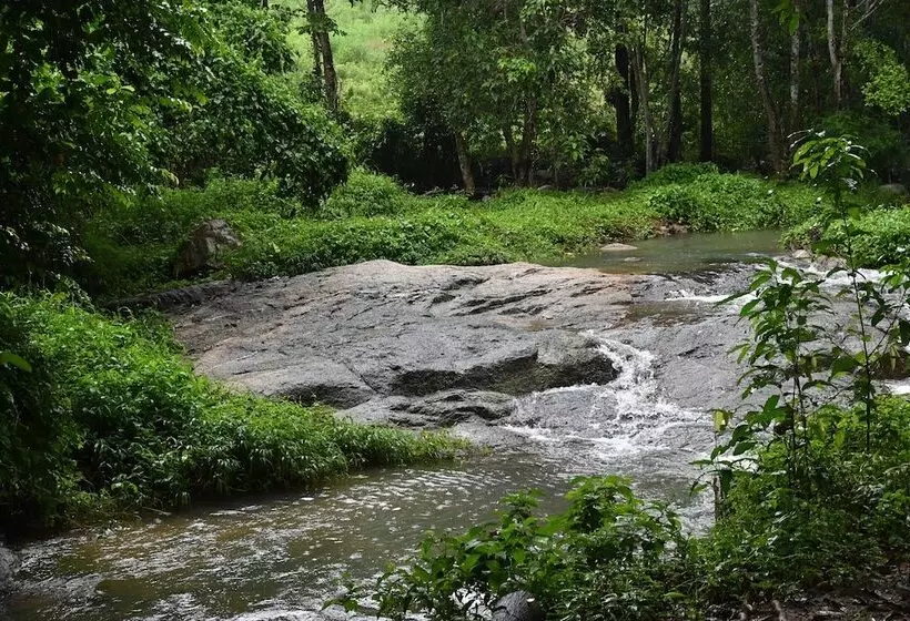 Hotelli Cascade Tara