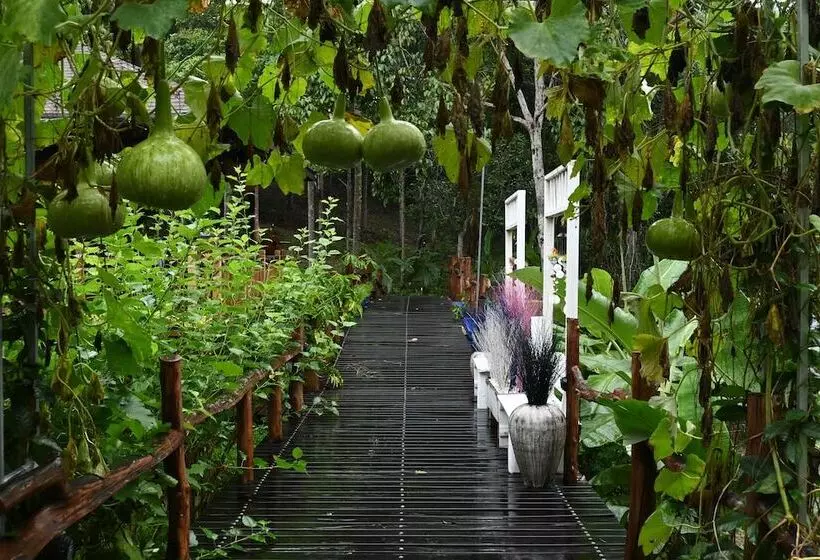 Hotelli Cascade Tara