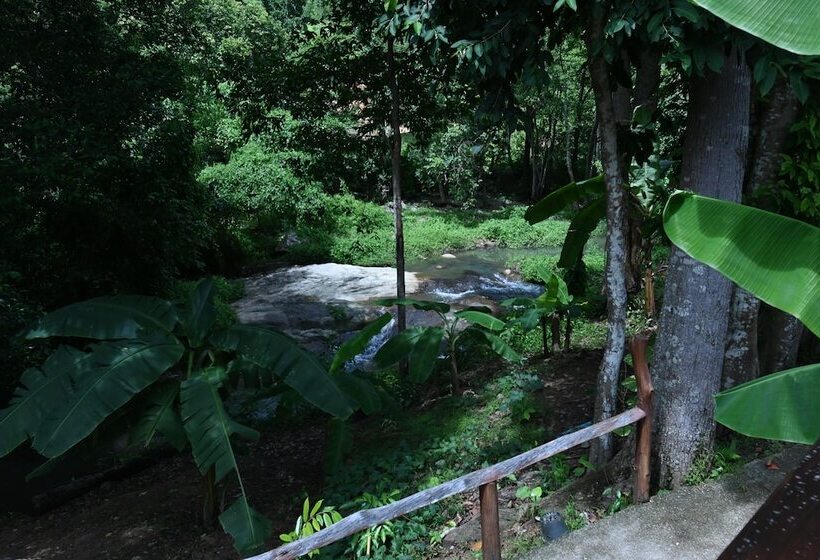 Отель Cascade Tara