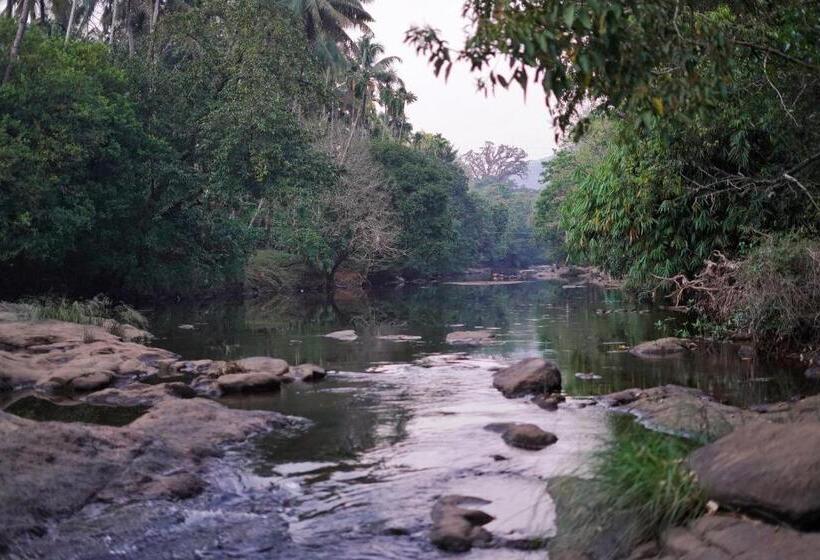 Pensjonat Athirapilly On The Rocks