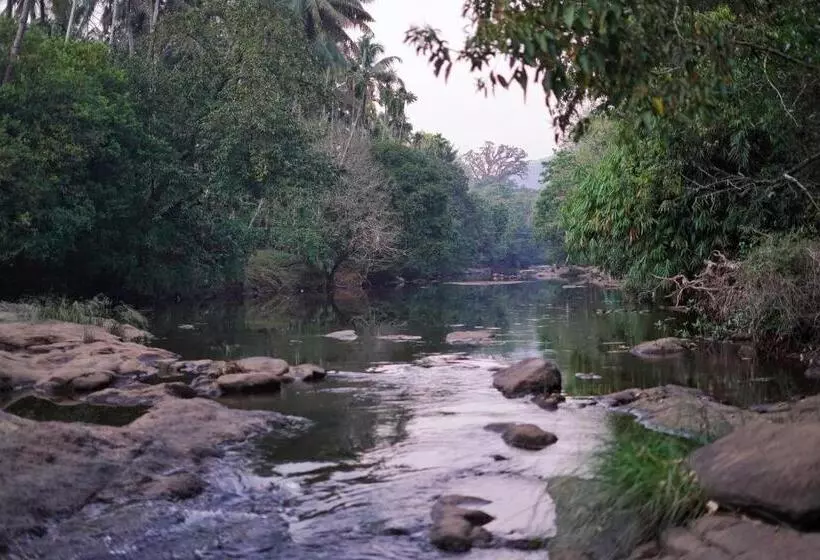 Pension Athirapilly On The Rocks