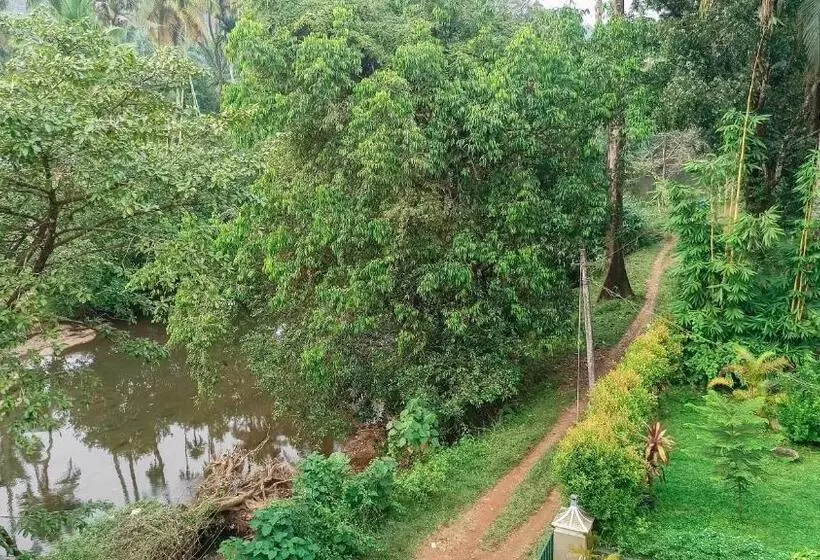 Pension Athirapilly On The Rocks