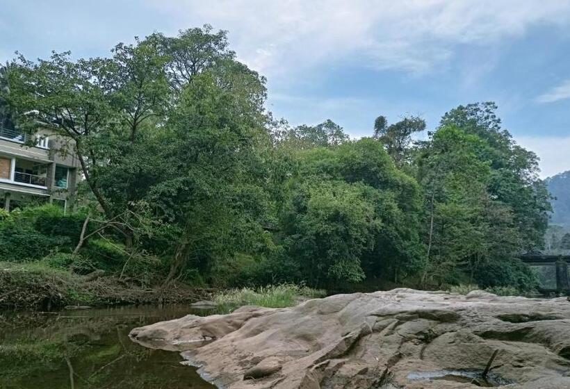 Pensjonat Athirapilly On The Rocks