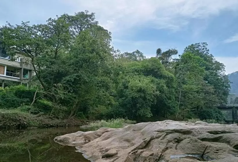 Pension Athirapilly On The Rocks