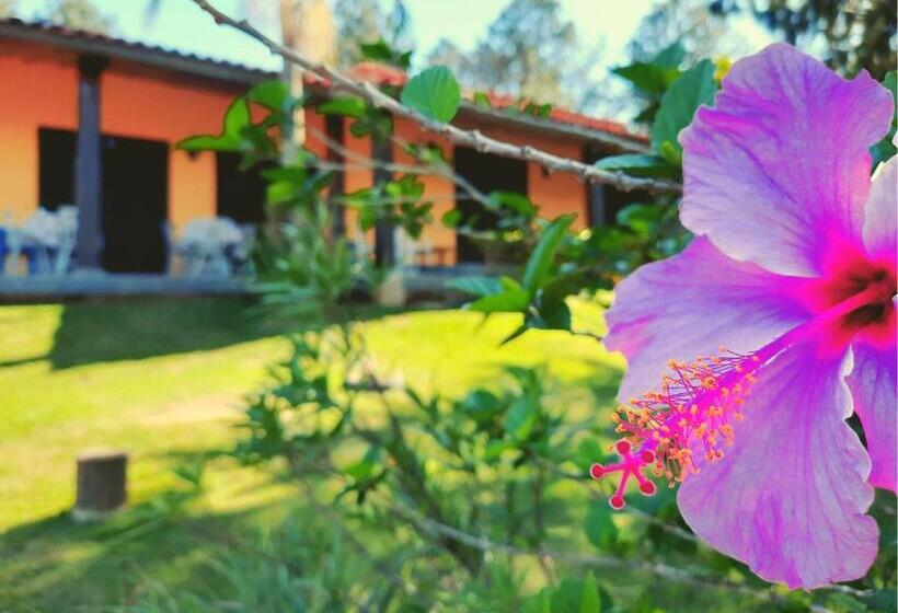 펜션 Pousada Por Do Sol