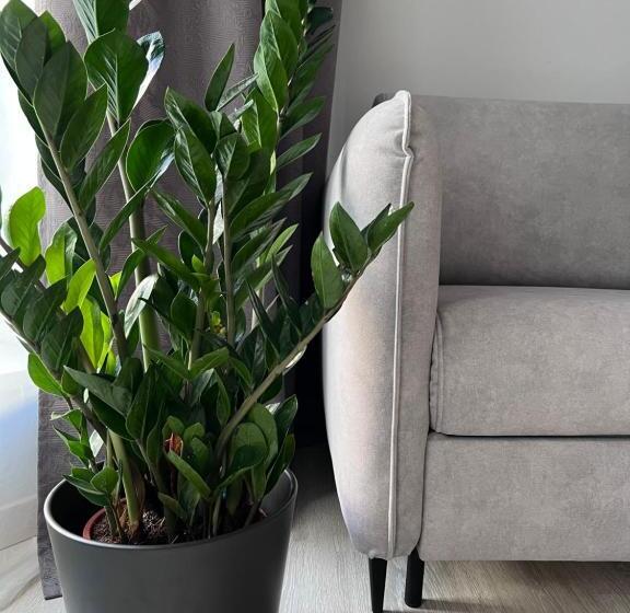 ユースホステル Kamienica 22 Old Town