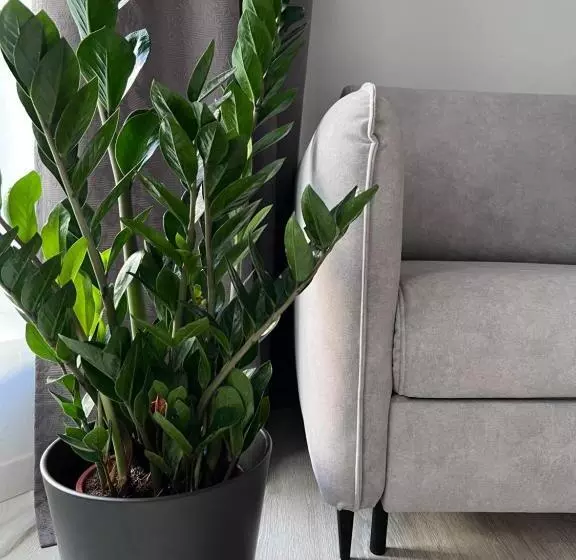 הוסטל Kamienica 22 Old Town