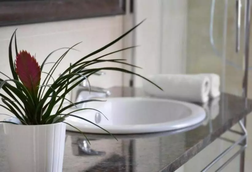 הוסטל Kamienica 22 Old Town