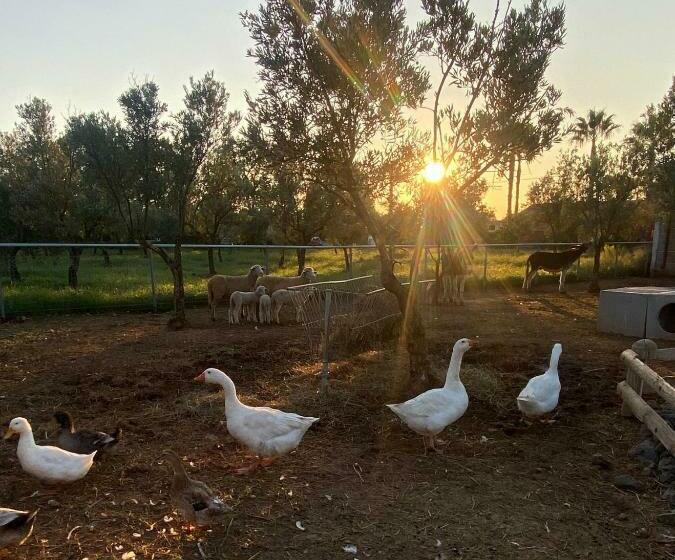 פנסיון Hostaria Delle Memorie