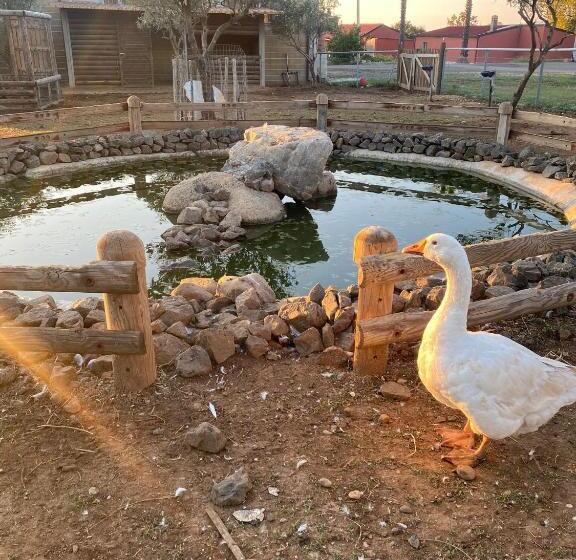 פנסיון Hostaria Delle Memorie