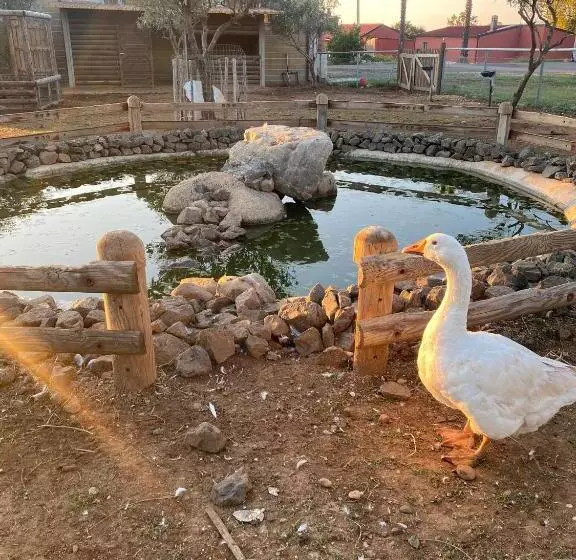 Majatalo Hostaria Delle Memorie