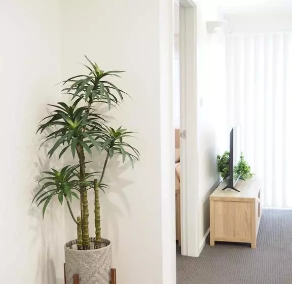 Warners Bay Apartments