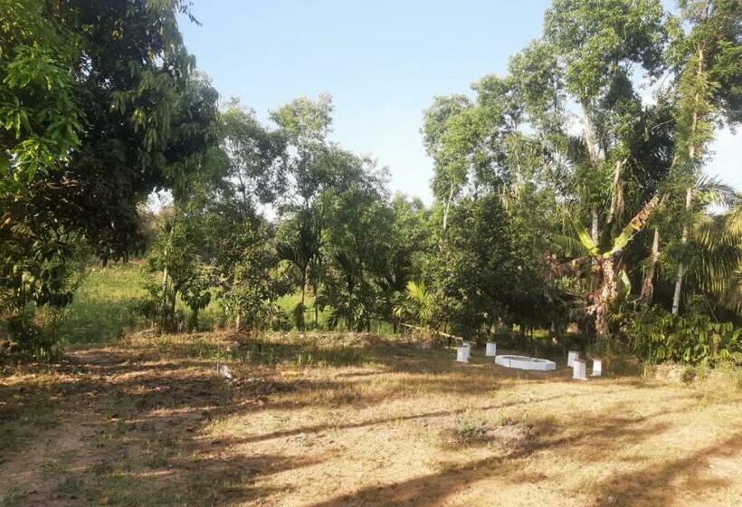 住宿加早餐  Akichimo Homestay