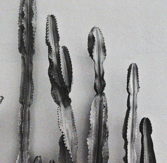 پانسیون El Moja Surfhouse