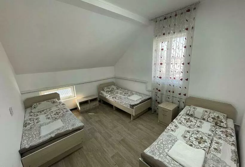 هاستل Bishkek Backpackers