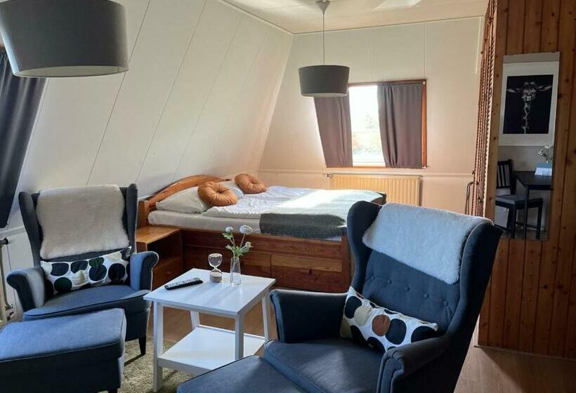 בית מלון כפרי De Oude Molen