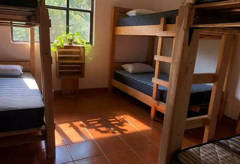 ユースホステル Hostal Tribu Malinalco