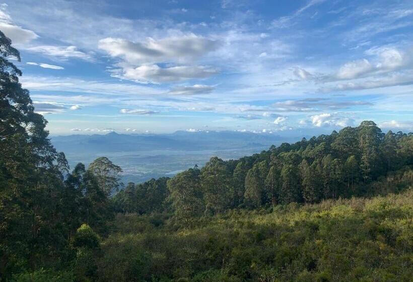 تختخواب و صبحانه Cloud Walk