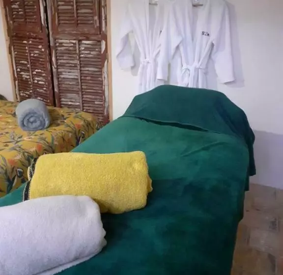 ペンション Demeure Du Dragon 5 Chambres Piscine  10 Lits   Personnes