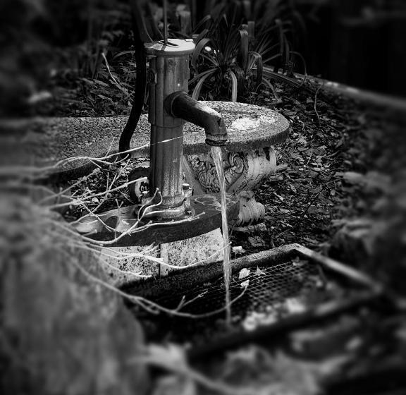 פנסיון Enchanted Escape